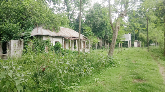 image-here